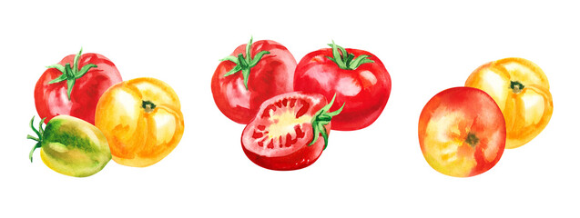 Hand painted watercolor delicious ripe tomatoes illustration isolated on white background.
