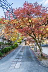 天野山金剛寺（大阪府河内長野市）の紅葉