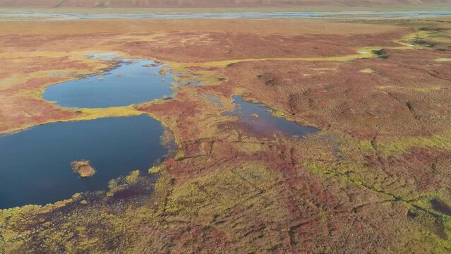 Aerial pan over a tundra landscape with swamps, lakes and a river on the North Slope, Alaska