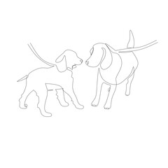 Vector illustration of two dogs drawn in line art style