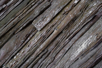 Dried weathered wood planks