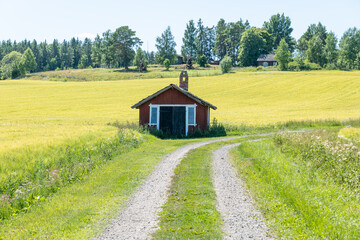 Obraz premium Beautiful farm landscape in summer