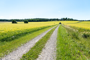 Beautiful farm landscape in summer