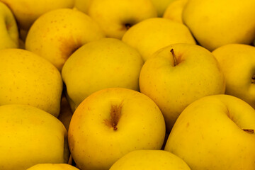 Close-up of yellow apples