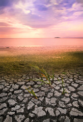 Vertical (portrait) layout landscape long exposure shot showing drought and global warming