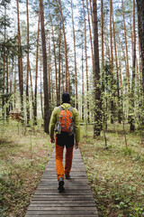 A solo hiking trip through the forest, a guy walks with a backpack on a hike, a view from behind a tourist on a wooden trail, outdoor activities.