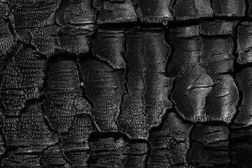 Burnt wood texture, black grunge cracked background. Burned charcoal