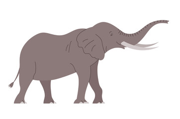 African elephant with tusks. Savannah wild animal. Large herbivorous mammal. Flat vector illustration isolated on white background