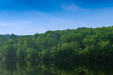 Fototapeta na wymiar Reflection on water in sunny morning New Jersey Botanical Garden, Sheppard Lake. High-quality photo
