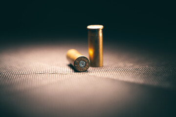 44 Remington Magnum bullets