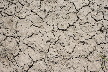 closeup grey-brown soil and sand with texture and with many cracks against blurred background	