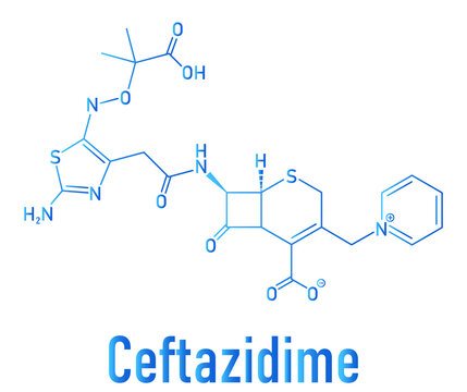 Skeletal formula of Ceftazidime cephalosporin antibiotic drug molecule.