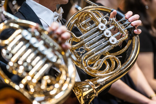 Philharmonic orchestra playing on the french horn, performance concert, classical music concept