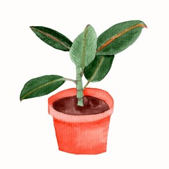 Fototapeta premium plant in a pot. Watercolor illustration of indoor decorative ficus flower in orange flower pot. Decorative greenery.