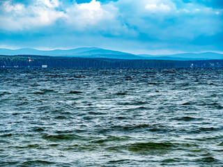 gull flies over the lake in the morning
