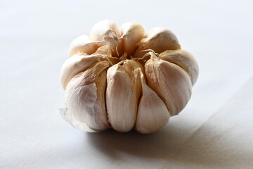garlic on white background isolated
