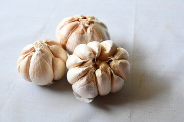 garlic on white background isolated
