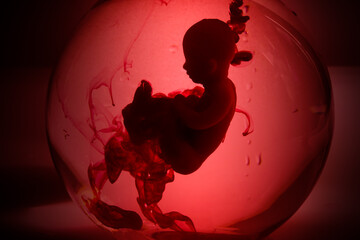 Abortion concept. Baby doll in the red blood looks like abortation. - obrazy, fototapety, plakaty