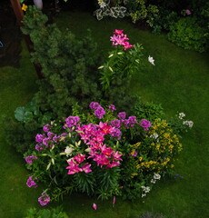 Fototapeta na wymiar Garden with many flowers from a bird's eye view