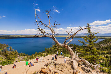 High angle view of the Jenny lake landscape of the Grand Teton National Park