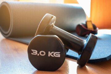 Pair of dumbbells for home training with yoga mat.