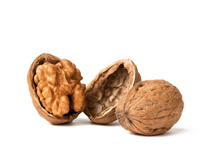 Walnut on white background. Peeled walnut on white. Half Walnut isolate. Full depth of field.