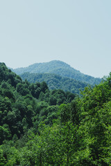 view of the mountains