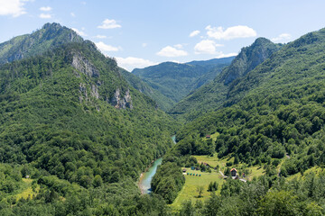 Mountain River Tara Turquoise and Forest on the slopes of the mountains in Montenegro.