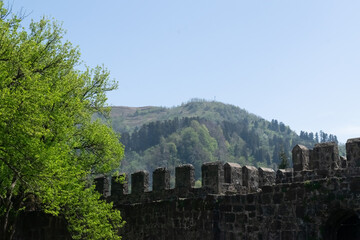 Fototapeta na wymiar stone fortress