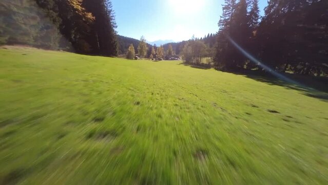 Flug &uuml;ber eine Wiese, FPV Drohnenaufnahme / Flight over a meadow