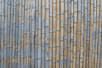 bamboo background