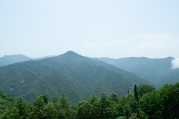 Obraz premium landscape with mountains