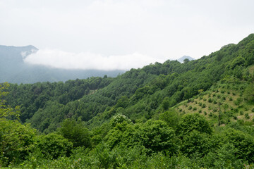 landscape with clouds