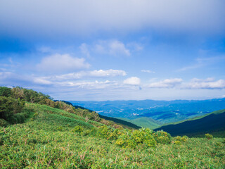 夏の伊豆山稜線歩道の風景