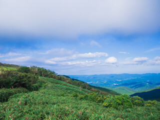 Fototapeta na wymiar 夏の伊豆山稜線歩道の風景