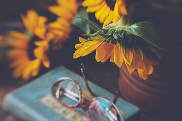 Closeup of glasses on top of a book next to a beautiful sunflowers in a vase