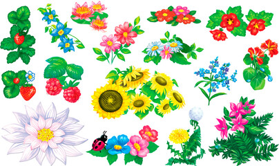 Flowers, illustration set