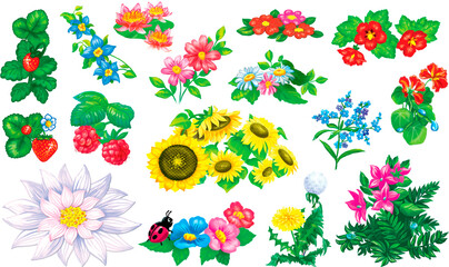 Obraz premium Flowers, illustration set