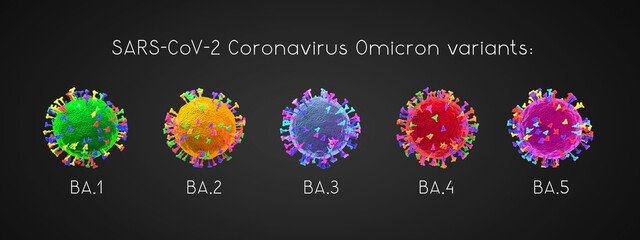BA.1, BA.2, BA.3, BA.4, BA.5 - SARS-CoV-2 Covid-19 coronavirus omicron variants - 3D illustration
