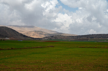 Panoramic view on agricultural valley Zafarraya with fertile soils for growing of vegetables, green lettuce salad, cabbage, artichokes, Andalusia, Spain