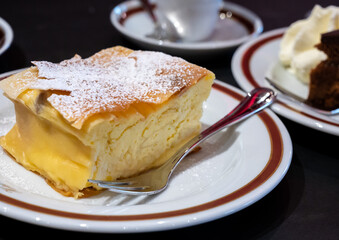 Austrian sweet dessert, filled with white cheese strudel served warm in traditional cafe in Vienna, Austria