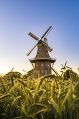 Holtlander Mühle © Kirsches_Fotobox