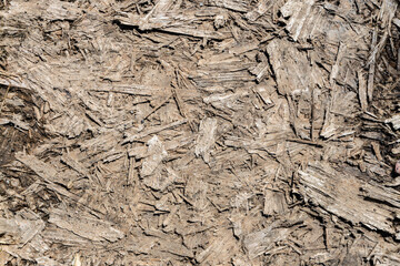 Wood chips texture