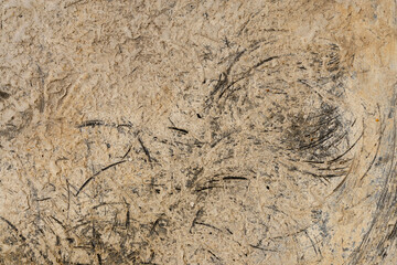Cement on plastic texture