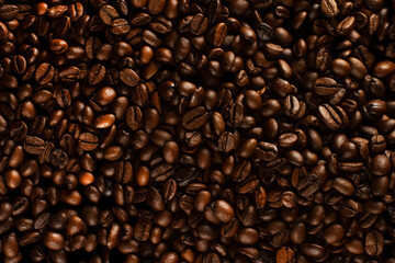 Roasted coffee beans. Coffee beans with low key light layout