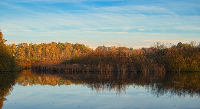 Scenic view of a lake reflecting autumn trees under a blue cloudy sky in Durbuy, Belgium
