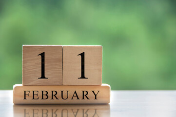 February 11 calendar date text on wooden blocks with customizable space for text or ideas. Copy...