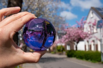 Hand holding a crystal ball with a flipped reflection of sakura trees growing by a residential house