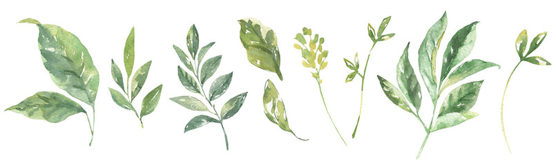 Watercolor set green peony leaf, twig,branch, illustration,rose, juicy greens, coloful,vibrant vintage greenery flower element,create botanical wreath,frame,for wedding,greeting card,baby shower, diy 