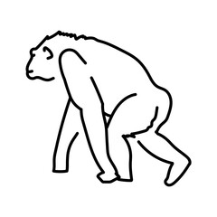 Chimpanzee color line illustration